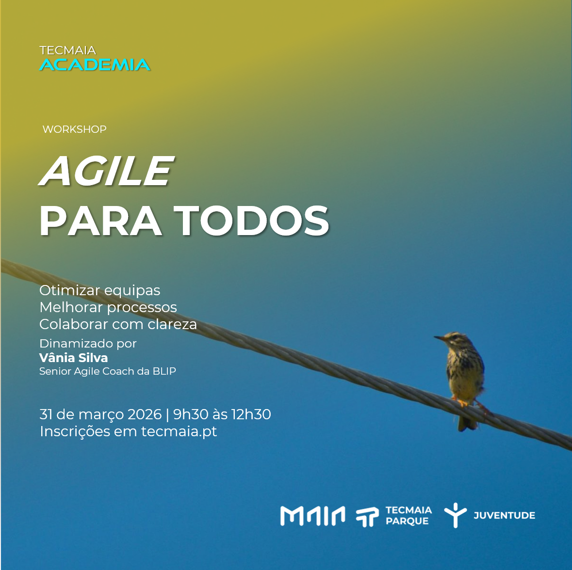 Agile para todos